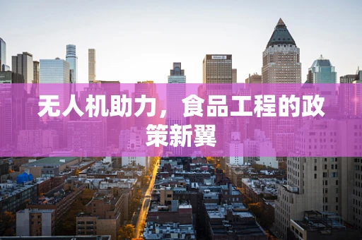 无人机助力，食品工程的政策新翼