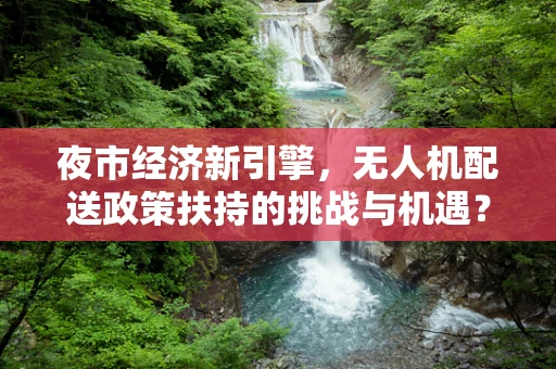 夜市经济新引擎，无人机配送政策扶持的挑战与机遇？