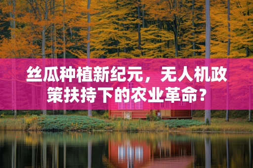 丝瓜种植新纪元，无人机政策扶持下的农业革命？