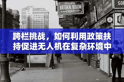 跨栏挑战，如何利用政策扶持促进无人机在复杂环境中的安全应用？