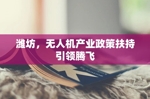 潍坊，无人机产业政策扶持引领腾飞