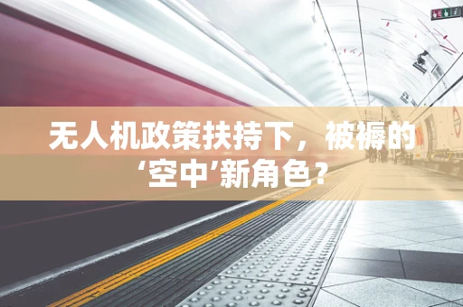 无人机政策扶持下，被褥的‘空中’新角色？