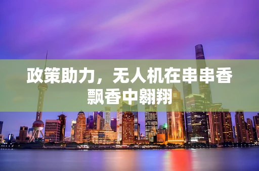 政策助力，无人机在串串香飘香中翱翔