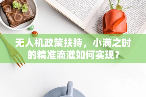 无人机政策扶持，小满之时的精准滴灌如何实现？