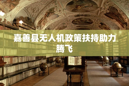 嘉善县无人机政策扶持助力腾飞