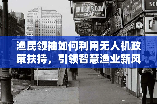 渔民领袖如何利用无人机政策扶持，引领智慧渔业新风尚？