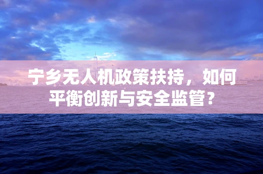 宁乡无人机政策扶持，如何平衡创新与安全监管？