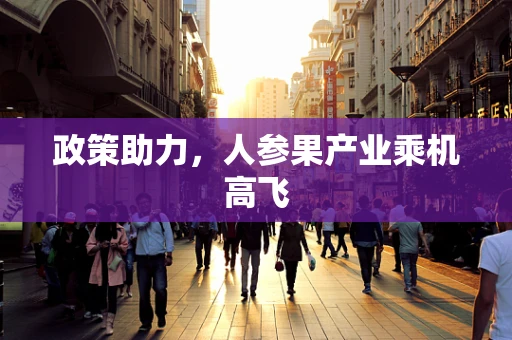 政策助力，人参果产业乘机高飞