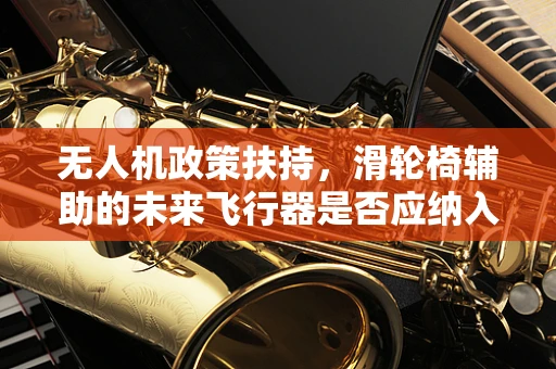 无人机政策扶持，滑轮椅辅助的未来飞行器是否应纳入监管范畴？