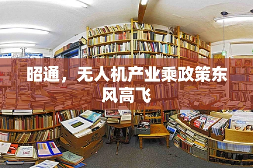 昭通，无人机产业乘政策东风高飞