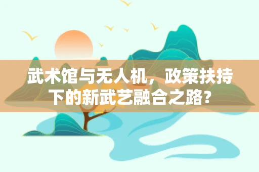 武术馆与无人机，政策扶持下的新武艺融合之路？