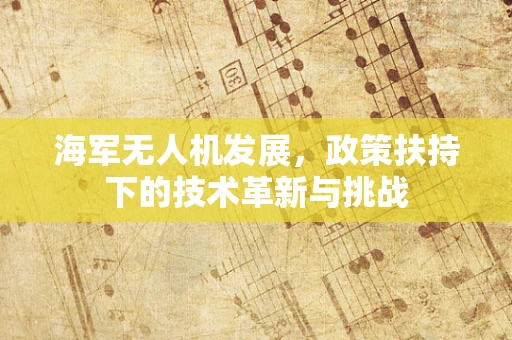 海军无人机发展，政策扶持下的技术革新与挑战