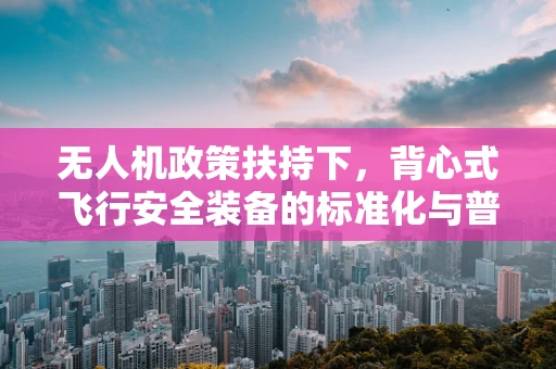 无人机政策扶持下，背心式飞行安全装备的标准化与普及之路？