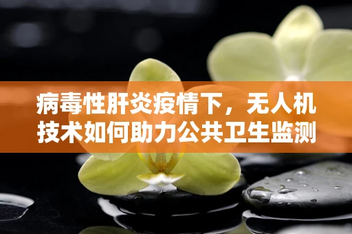 病毒性肝炎疫情下，无人机技术如何助力公共卫生监测与防控？