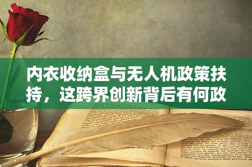 内衣收纳盒与无人机政策扶持，这跨界创新背后有何政策考量？