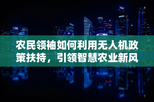农民领袖如何利用无人机政策扶持，引领智慧农业新风尚？