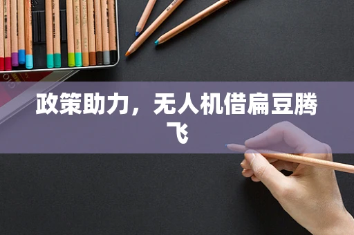政策助力，无人机借扁豆腾飞