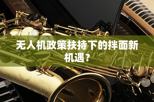 无人机政策扶持下的拌面新机遇？