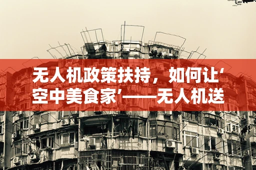 无人机政策扶持，如何让‘空中美食家’——无人机送餐，与臭豆腐文化和谐共舞？