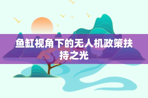 鱼缸视角下的无人机政策扶持之光