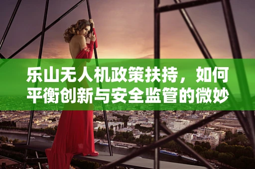 乐山无人机政策扶持，如何平衡创新与安全监管的微妙平衡？