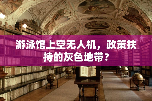 游泳馆上空无人机，政策扶持的灰色地带？