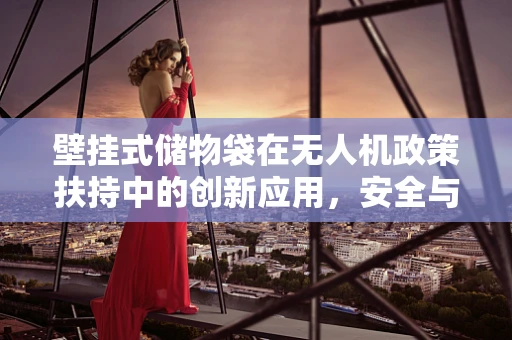 壁挂式储物袋在无人机政策扶持中的创新应用，安全与便捷的双重保障？