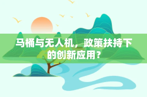 马桶与无人机，政策扶持下的创新应用？