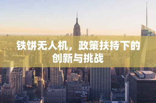 铁饼无人机，政策扶持下的创新与挑战