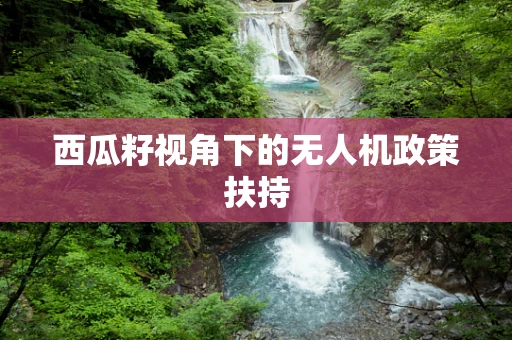 西瓜籽视角下的无人机政策扶持