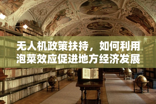 无人机政策扶持，如何利用泡菜效应促进地方经济发展？