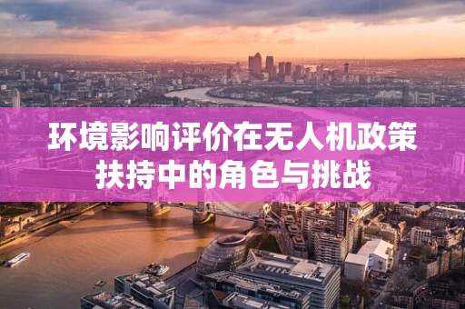 环境影响评价在无人机政策扶持中的角色与挑战