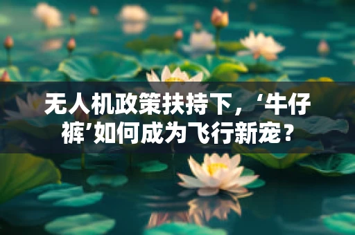 无人机政策扶持下，‘牛仔裤’如何成为飞行新宠？