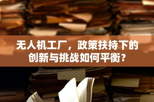 无人机工厂，政策扶持下的创新与挑战如何平衡？