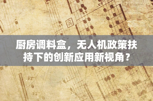 厨房调料盒，无人机政策扶持下的创新应用新视角？