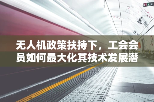 无人机政策扶持下，工会会员如何最大化其技术发展潜力？