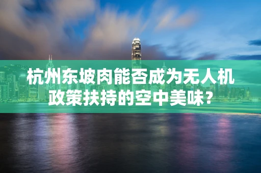 杭州东坡肉能否成为无人机政策扶持的空中美味？