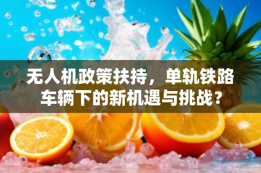 无人机政策扶持，单轨铁路车辆下的新机遇与挑战？