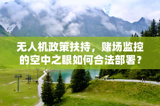 无人机政策扶持，赌场监控的空中之眼如何合法部署？