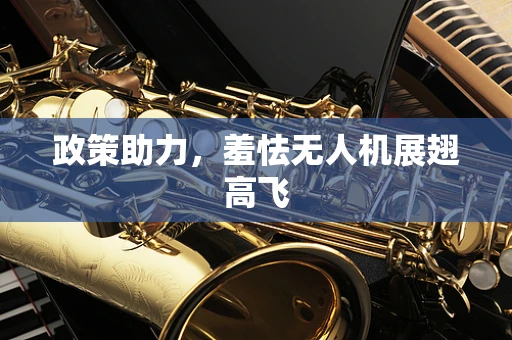 政策助力，羞怯无人机展翅高飞