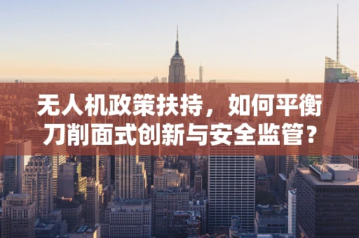 无人机政策扶持，如何平衡刀削面式创新与安全监管？