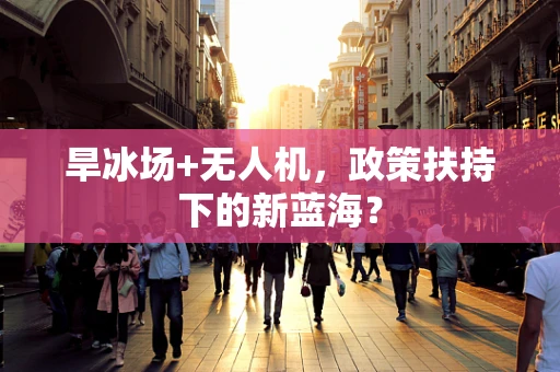 旱冰场+无人机，政策扶持下的新蓝海？