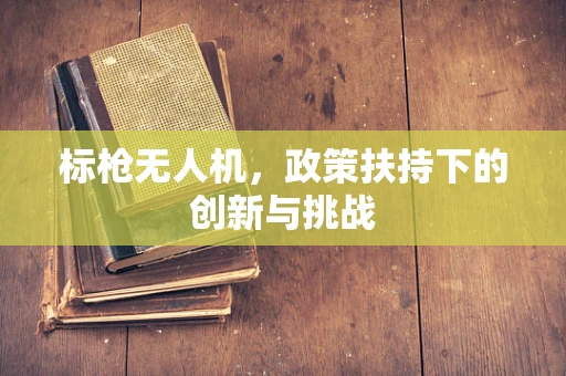 标枪无人机，政策扶持下的创新与挑战