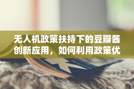 无人机政策扶持下的豆瓣酱创新应用，如何利用政策优势推动非传统领域创新？