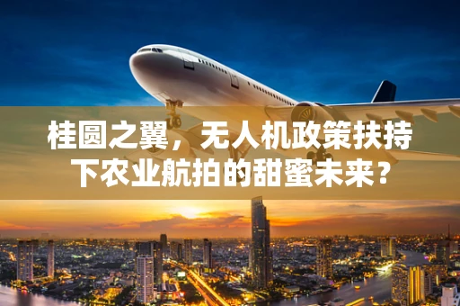 桂圆之翼，无人机政策扶持下农业航拍的甜蜜未来？