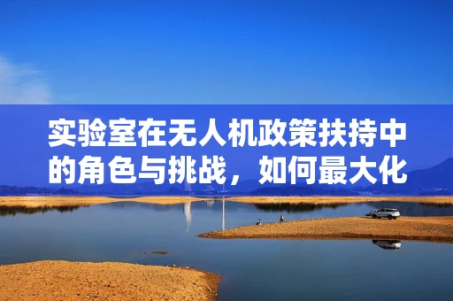 实验室在无人机政策扶持中的角色与挑战，如何最大化其创新潜力？