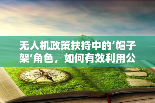 无人机政策扶持中的‘帽子架’角色，如何有效利用公共资源？