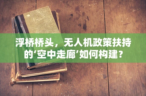 浮桥桥头，无人机政策扶持的‘空中走廊’如何构建？