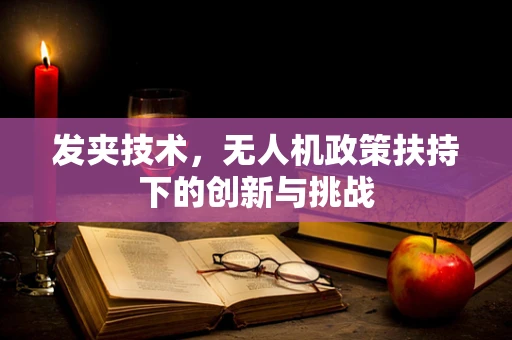 发夹技术，无人机政策扶持下的创新与挑战
