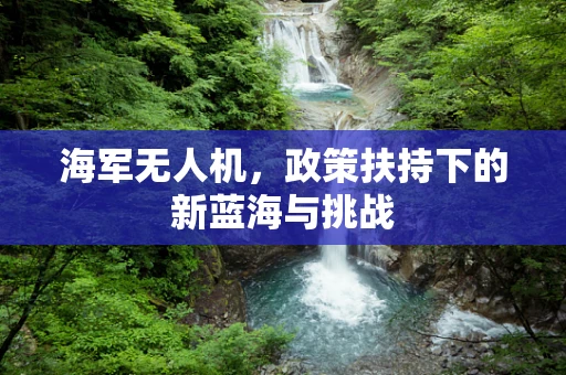 海军无人机，政策扶持下的新蓝海与挑战